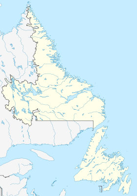 Ньюфаундленд (Ньюфаундленд и Лабрадор)