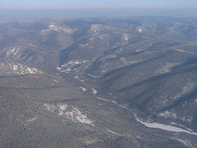 Южные склоны Хамар-Дабана (около Улан-Удэ)