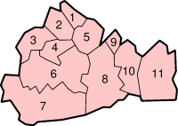 Графство Суррей, административное деление