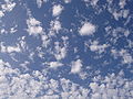 Altocumulus cloud.jpg