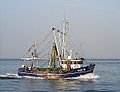 Cuxhaven krabbenkutter.jpg