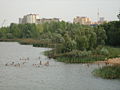 Nizhny-Novgorod-Lake-Meshcherskoye-0643.jpg