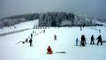 Skiing and sleighing in altenberg.jpg