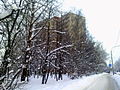 Veteranov Avenue (Saint Petersburg)-2.jpg