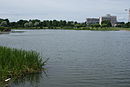 A lake in the Polustrovskiy park.JPG