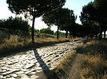 Appia antica 2-7-05 062.jpg