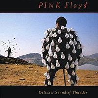 Обложка альбома «Delicate Sound of Thunder» (Pink Floyd, 1988)