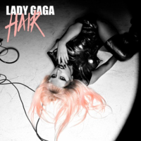 Обложка сингла «Hair» (Lady Gaga, )