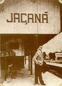 Jacana65AB.jpg