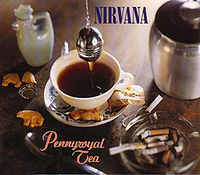 Обложка сингла «Pennyroyal Tea» (Nirvana, 1994)