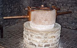 Augustaraurica millstone.jpg