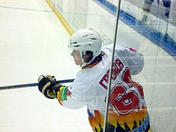 Dmitry Gromov 2010-12-25.JPG