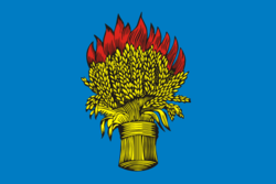 Flag of Belyov (Tula oblast).png