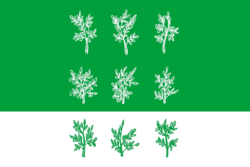 Flag of Bogoroditsky rayon (Tula oblast).png