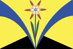 Flag of Iskitimsky rayon (Novosibirsk oblast).png