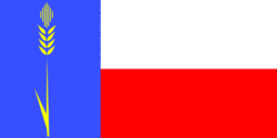 Flag of Klintsy Raion (Bryansk Oblast).gif