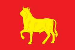 Flag of Kuibyshev (Novosibirsk oblast).png