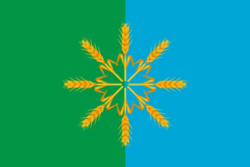 Flag of Novozybkovsky rayon (Bryansk oblast).png