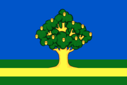 Flag of Rzhavki (Moscow oblast).png
