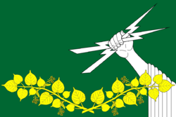 Flag of Tcvylyovskoe (Leningrad oblast).png