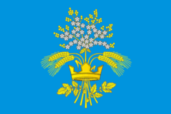 Flag of Tobolsky (Orenburg oblast).png