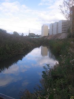 Река в 2011 году