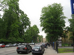 Lva Tolstogo Street (Saint-Petersburg).JPG