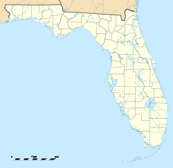 Тампа (Флорида)