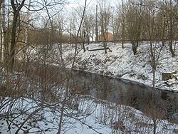 Река Волковка. Участок, протекающий через Волковское кладбище