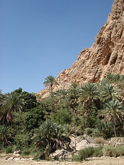 Wadi Bani Khalid17.jpg
