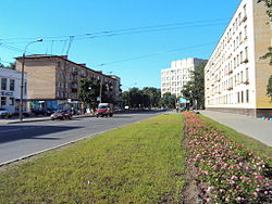 Zini Portnovoj Street (Saint-Petersburg).jpg