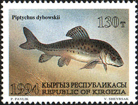 Stamp of Kyrgyzstan 046.jpg