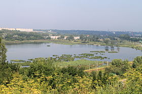 Дудергофское озеро (вид с Вороньей горы)