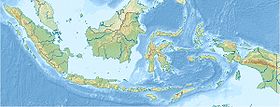 Буру (Малайский архипелаг) (Индонезия)