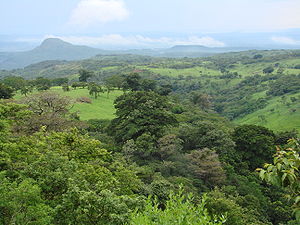 A Guanacaste view.jpg