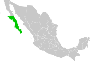 Южная Нижняя Калифорния на карте