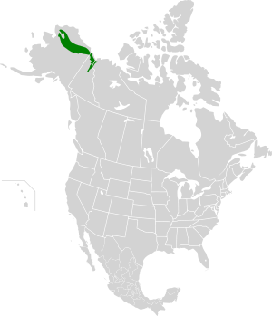 Brooks-British Range tundra map.svg