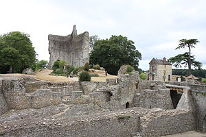 Развалины замка Домфрон