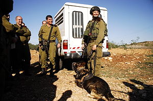 Flickr - Israel Defense Forces - Lt. Gen. Ashkenazi Visits Oketz Canine Unit.jpg