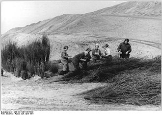 Bundesarchiv Bild 183-1987-0424-003, Spreetal, Tagebau, Rekultivierung.jpg