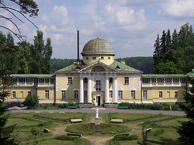 Borovoe manor.JPG